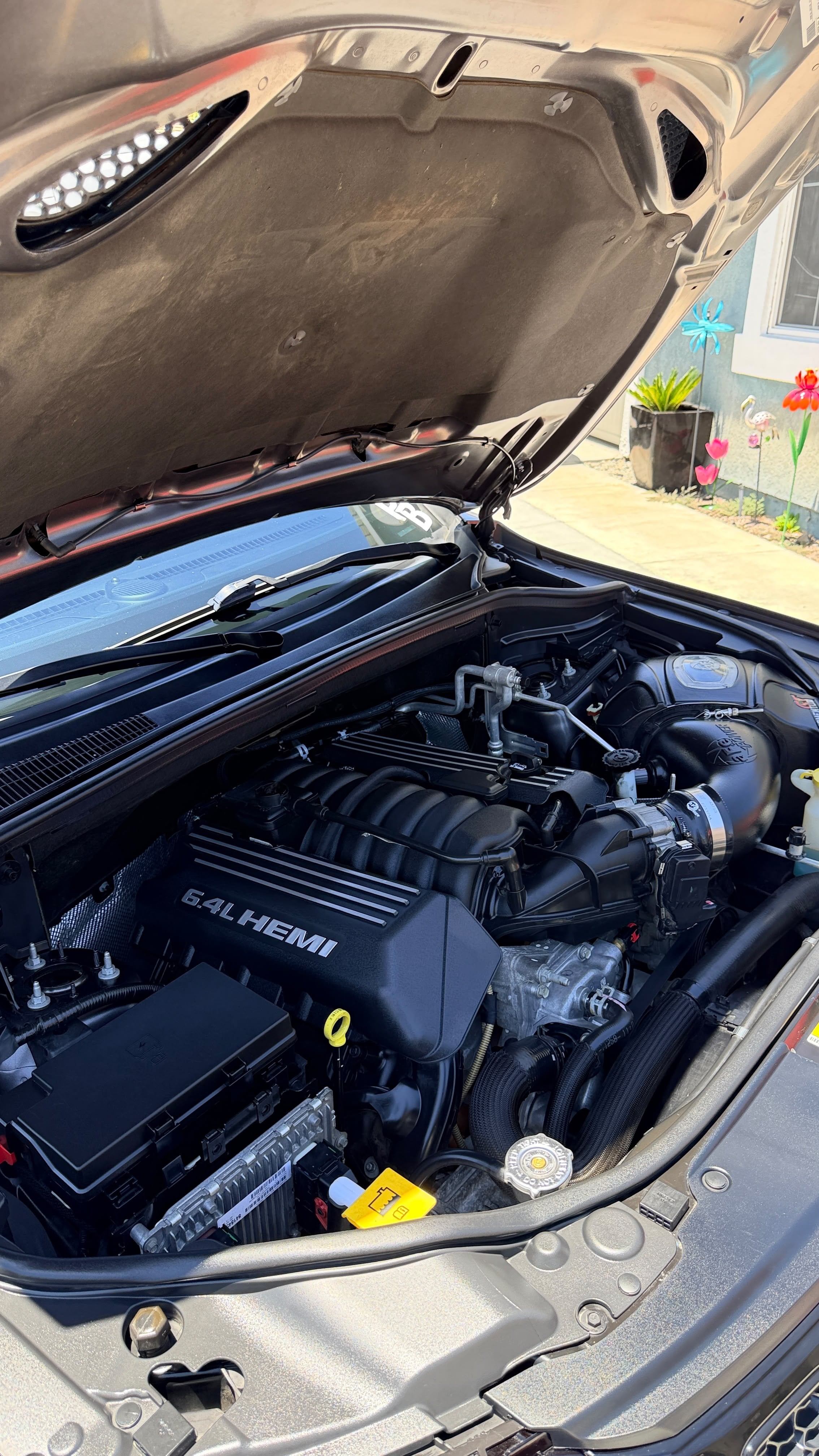 Engine bay cleaning in Riverside & San Diego County, cleaned engine bay with dressed plastics and hoses